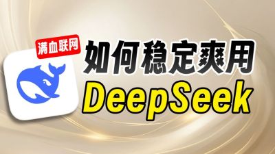 DeepSeek具体是什么